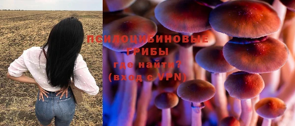 бошки Баксан