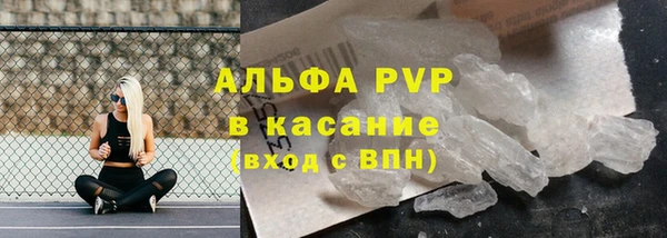 PSILOCYBIN Балабаново