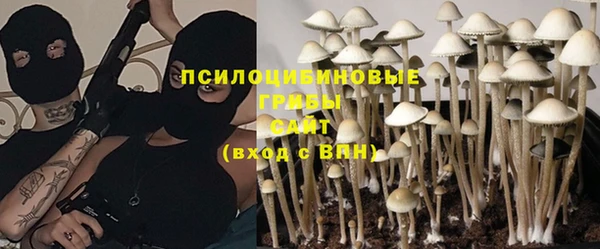 PSILOCYBIN Балабаново