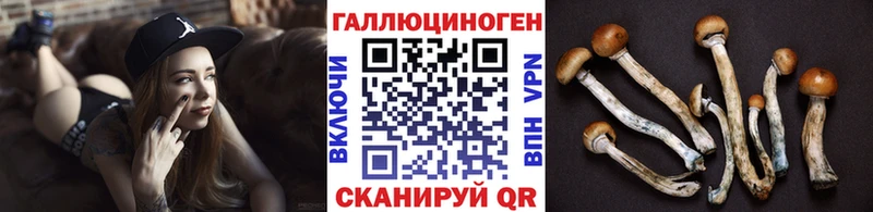 ОМГ ОМГ как войти  Сердобск  Галлюциногенные грибы Magic Shrooms 